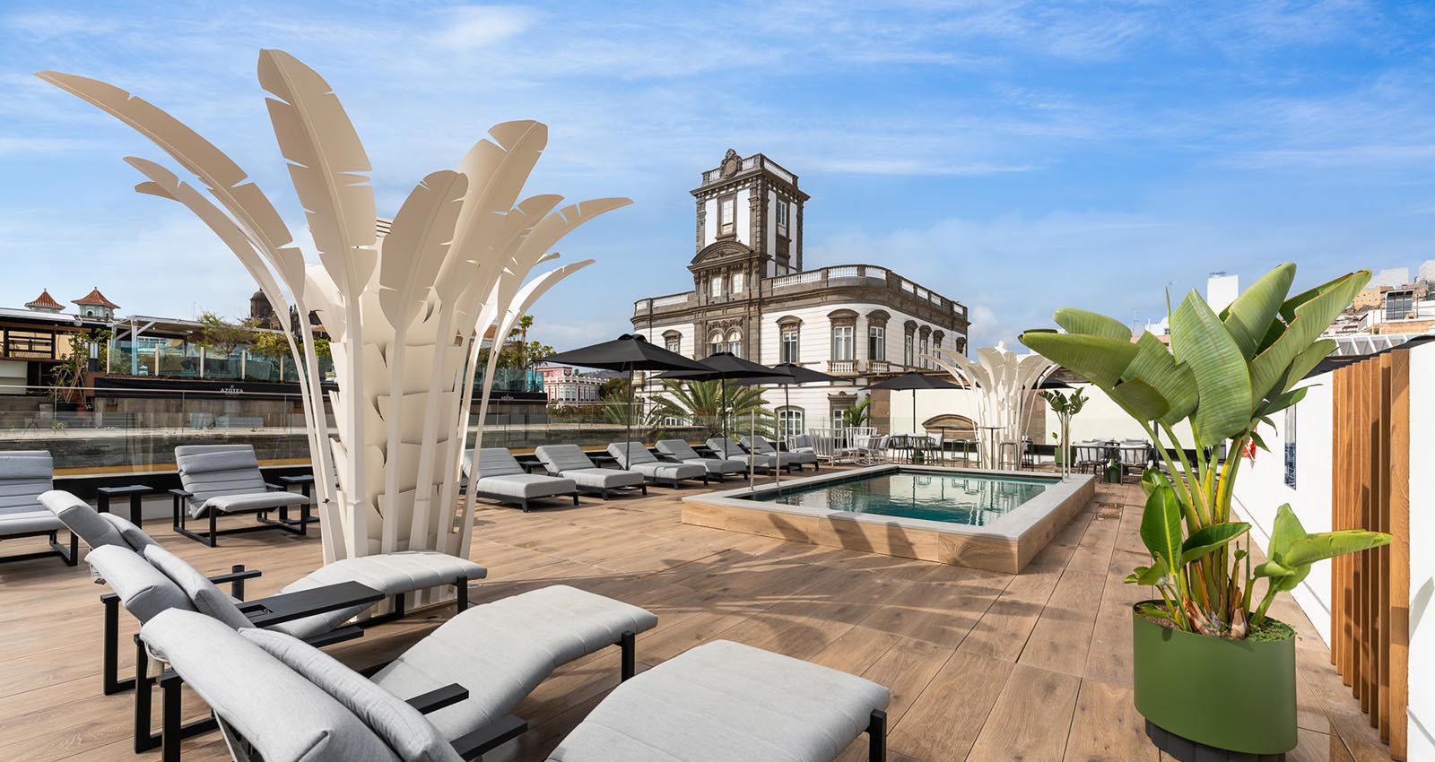 cordial la peregrina