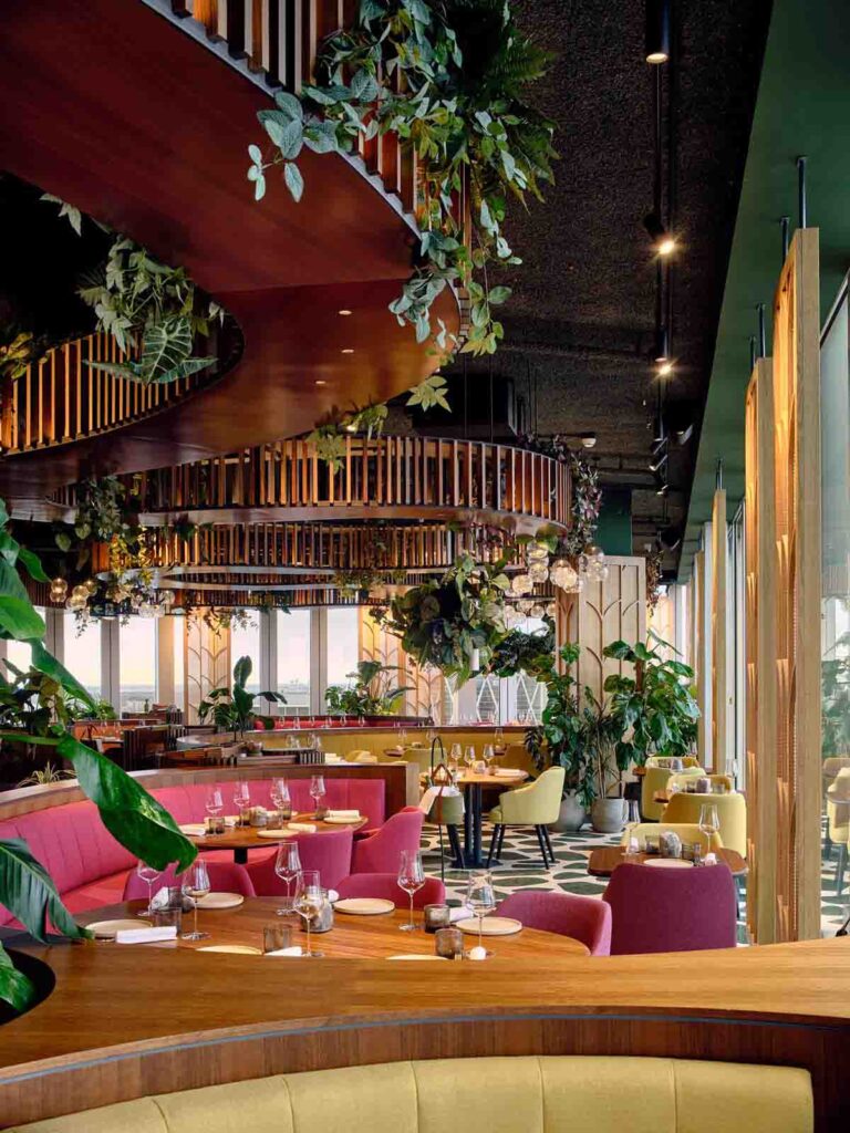 Selva Restaurante El Equipo Creativo