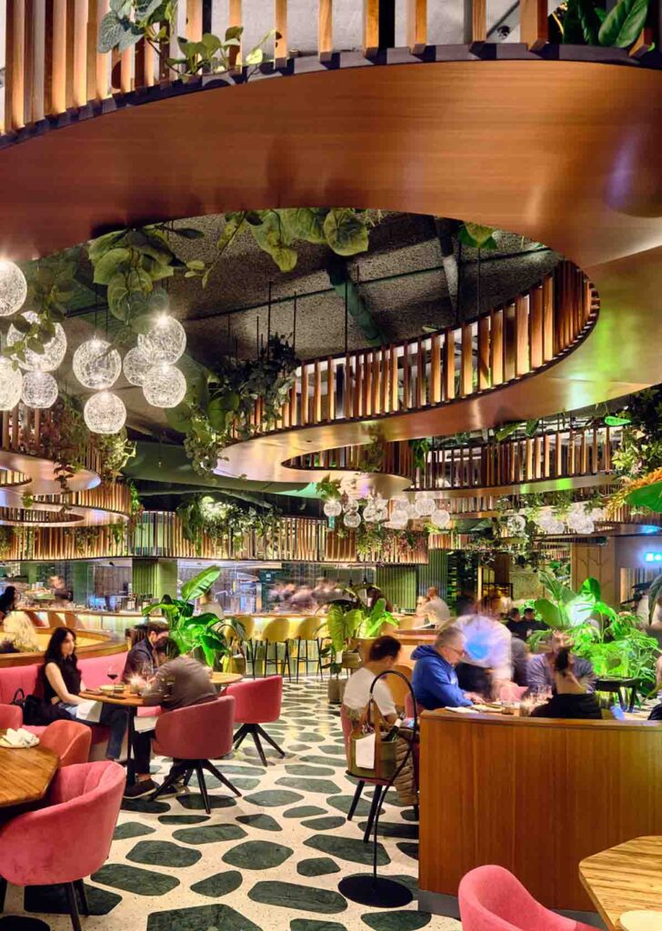 Selva Restaurante El Equipo Creativo