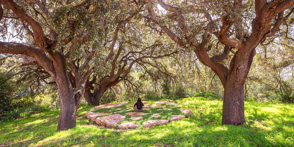 SCOB Masía Can Farrés