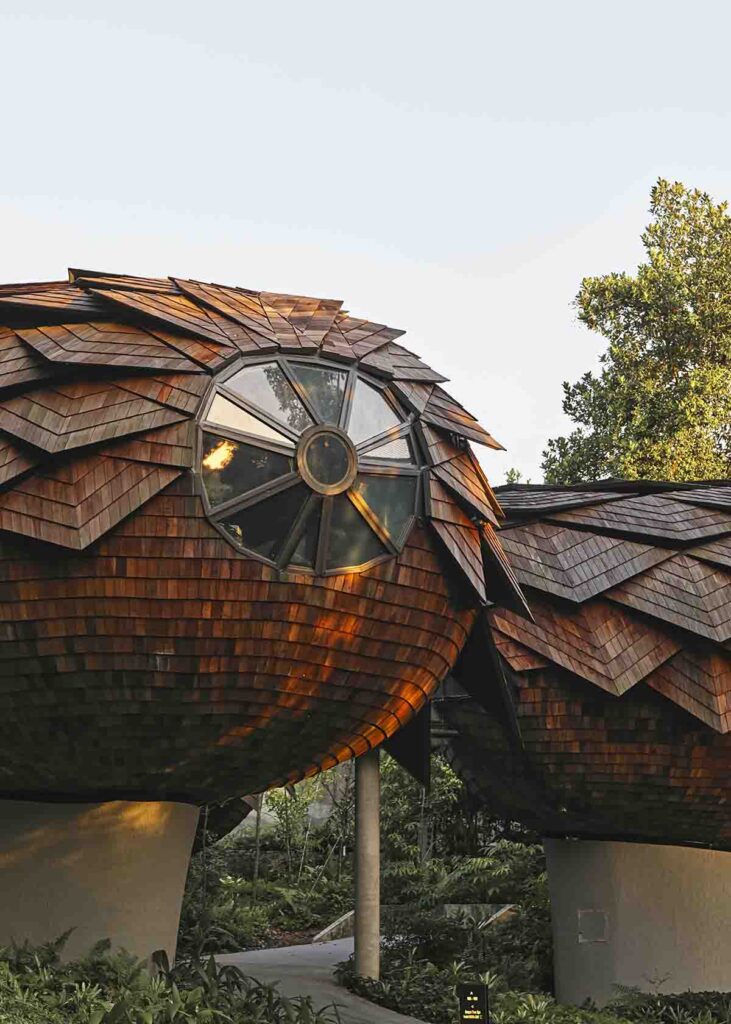 Mandai Rainforest Resort by Banyan Tree